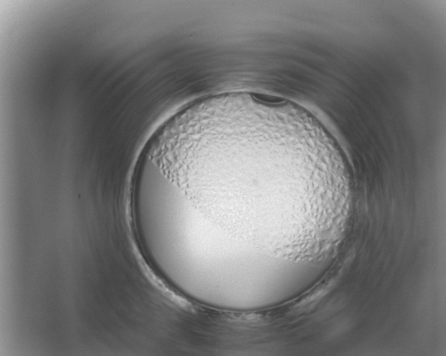 X0000066980957200604142203
