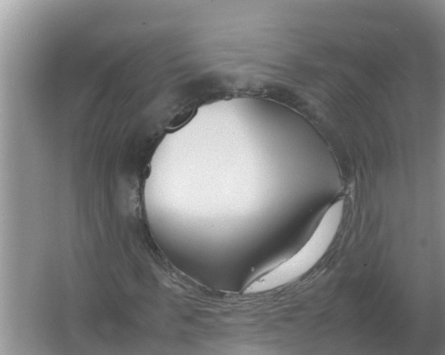 X0000066980963200604142202