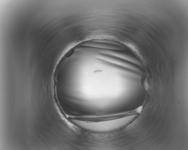 X0000066981046200604142201