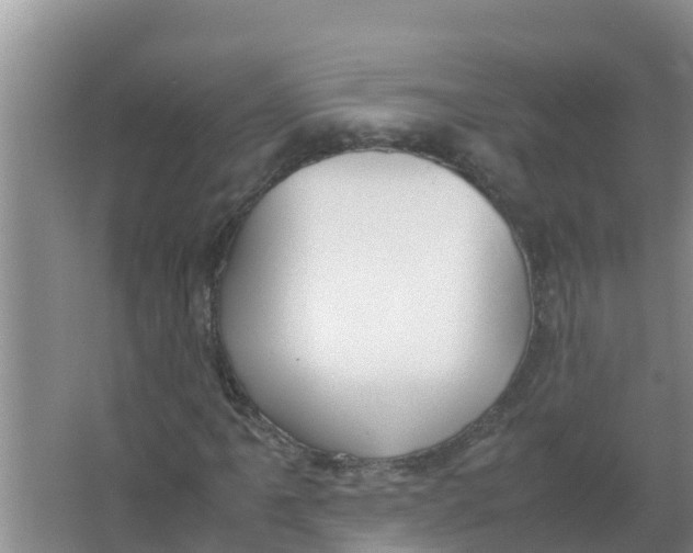 X0000066981061200604142201