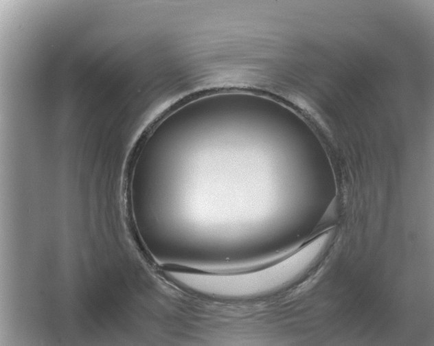 X0000066981077200604142200