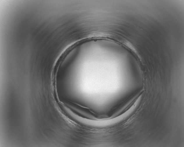 X0000066981124200604142159