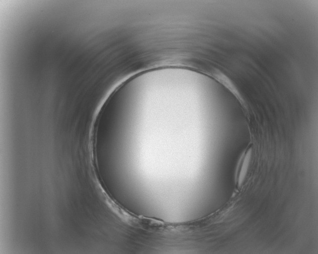 X0000066981148200604142200