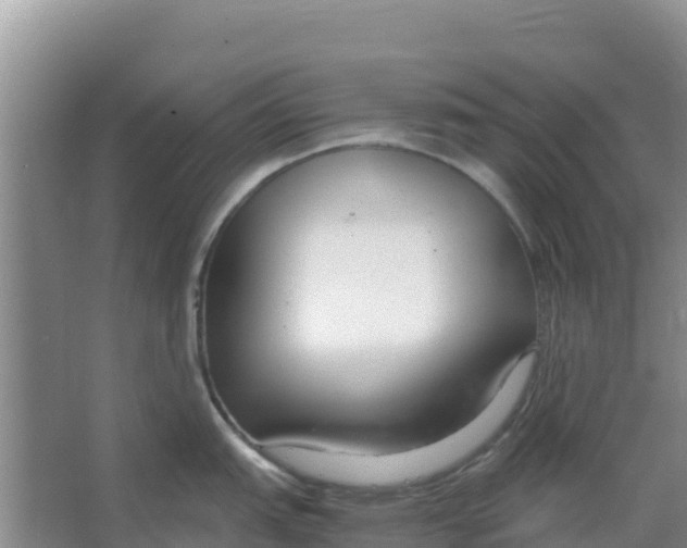 X0000066981151200604142200