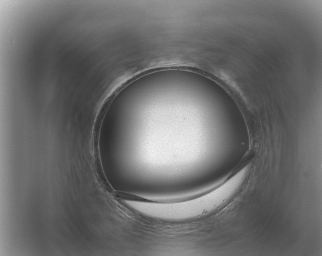 X0000066981173200604142159