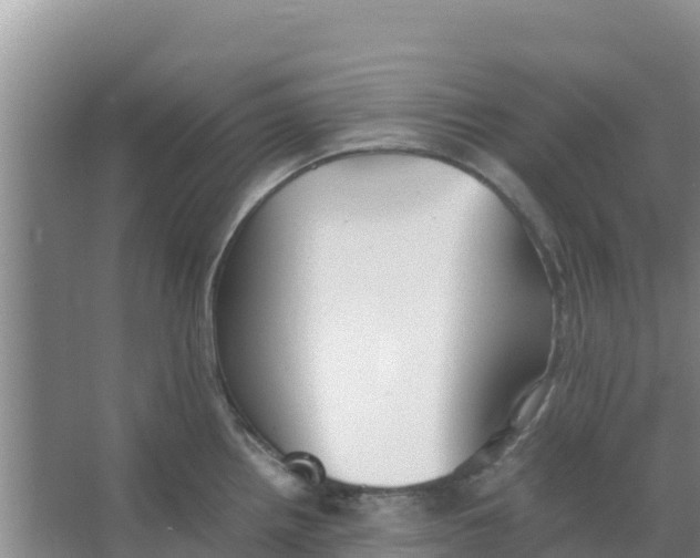 X0000066981242200604142158