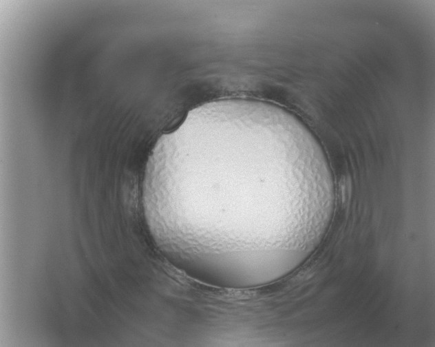 X0000066981251200604142158