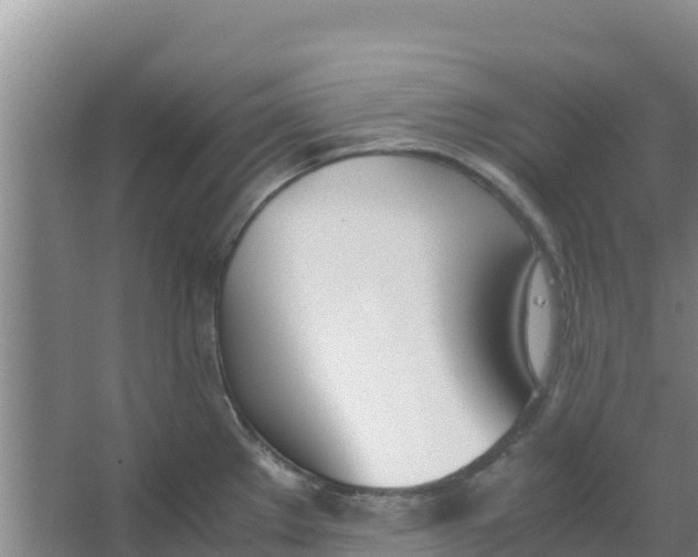 X0000066981289200604142157