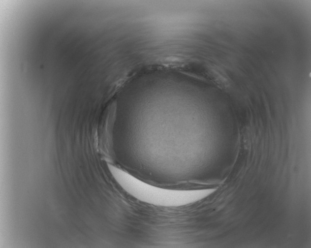 X0000066981298200604142156
