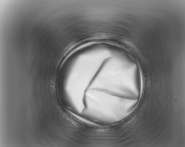 X0000066981409200604142155