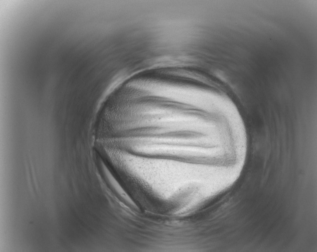 X0000066981459200604142154