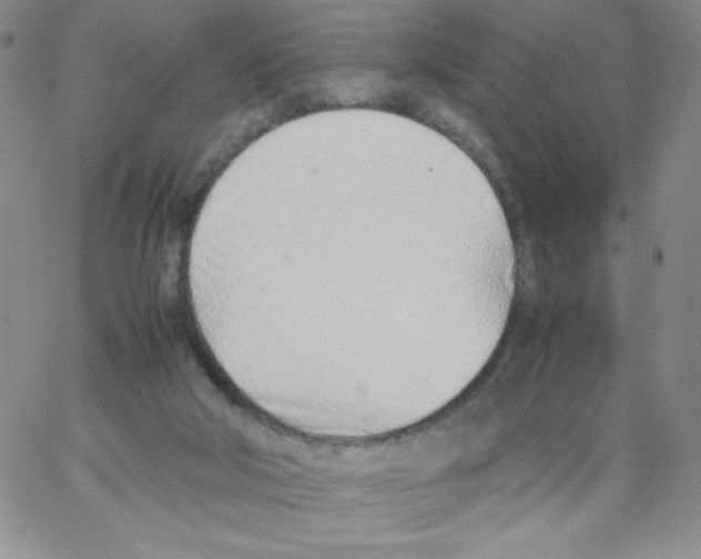 X0000066980018200604211943