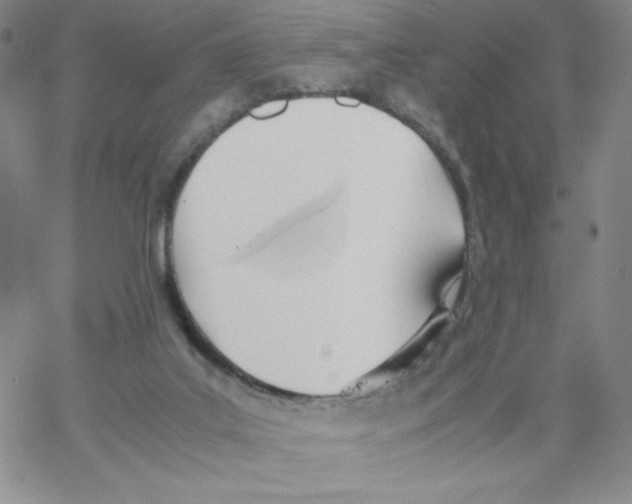 X0000066980019200604211943