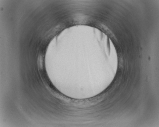 X0000066980026200604211943
