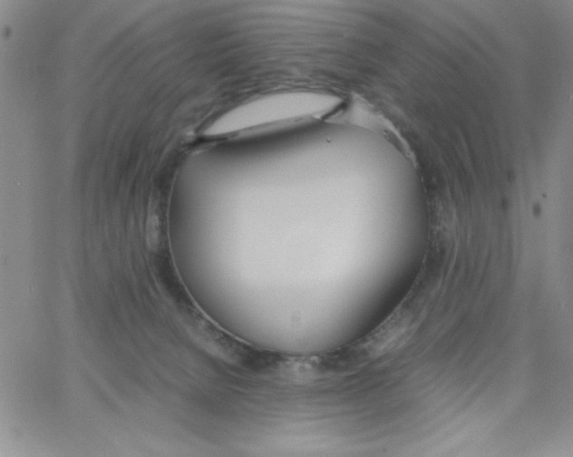 X0000066980080200604211943