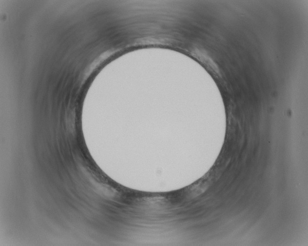X0000066980108200604211942