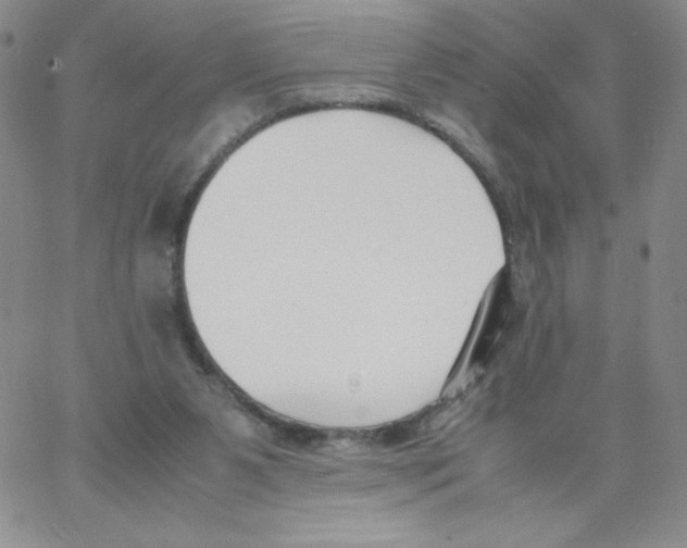 X0000066980111200604211942