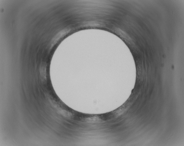 X0000066980112200604211942