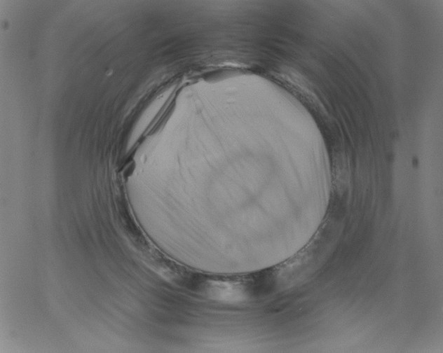 X0000066980167200604211941