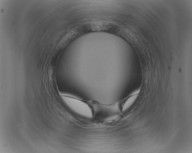 X0000066980219200604211940