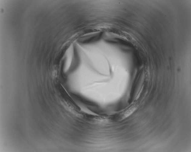 X0000066980284200604211940