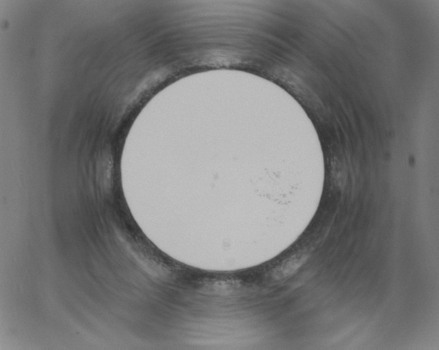 X0000066980304200604211939