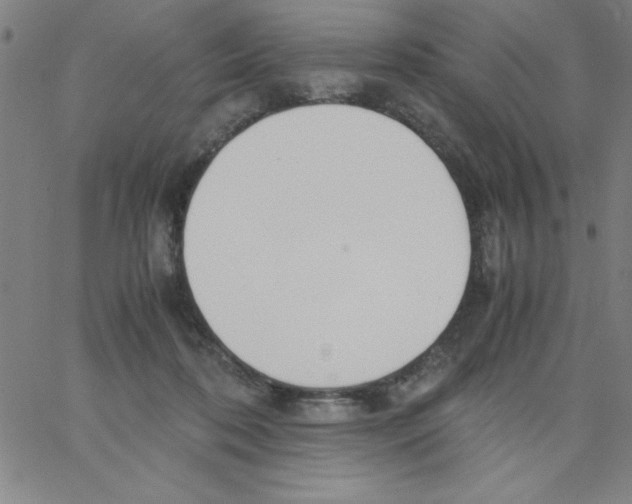 X0000066980316200604211939