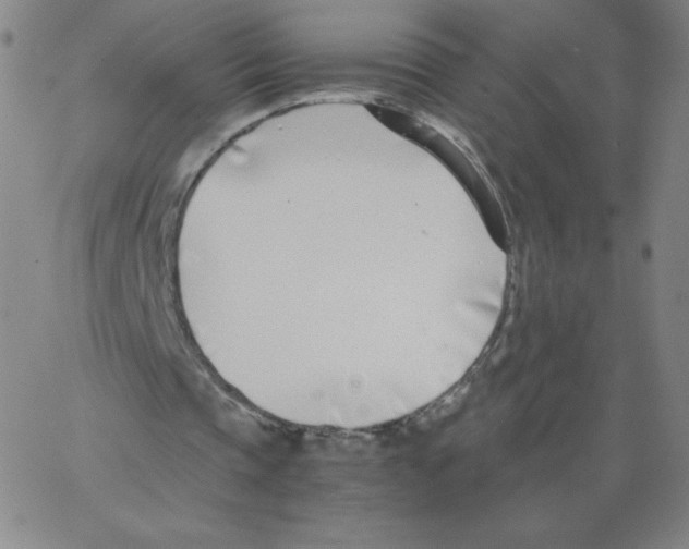 X0000066980337200604211937