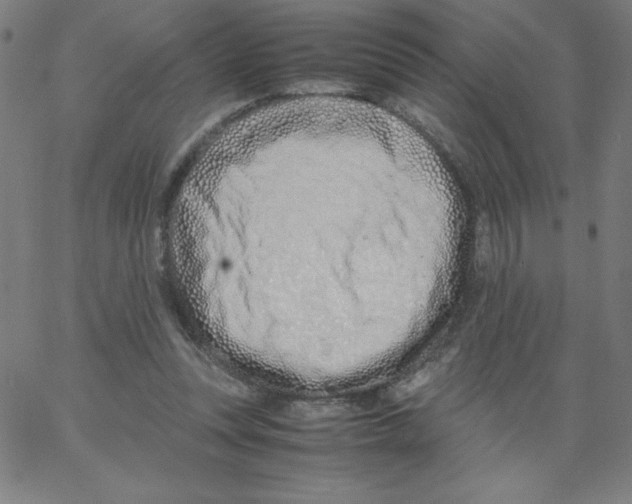 X0000066980351200604211938