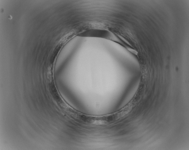 X0000066980360200604211938