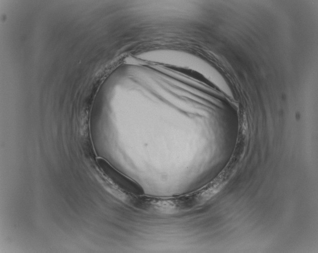 X0000066980409200604211937
