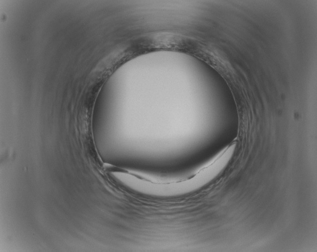 X0000066980413200604211937