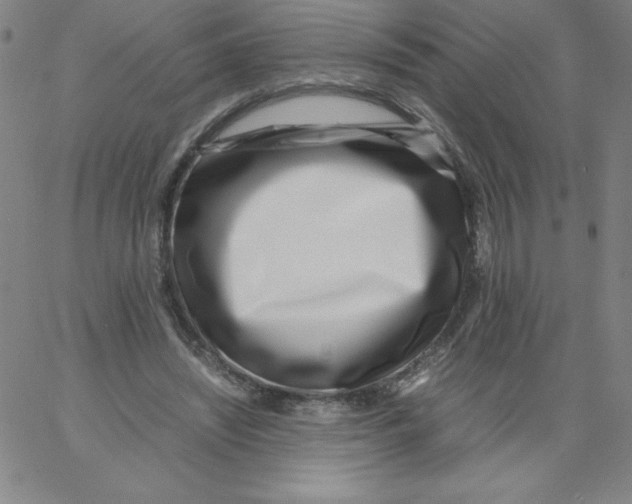 X0000066980444200604211936