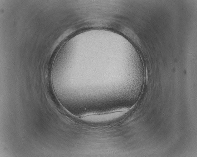 X0000066980483200604211936