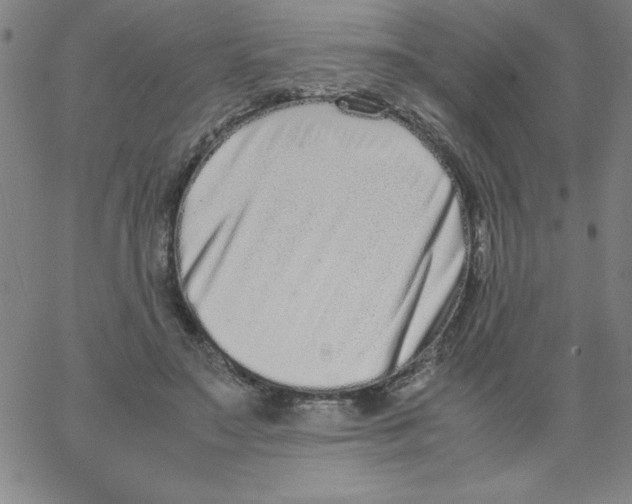 X0000066980499200604211935