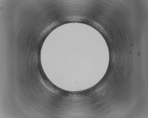 X0000066980538200604211934