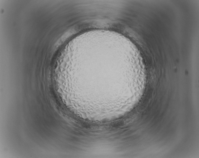 X0000066980679200604211932