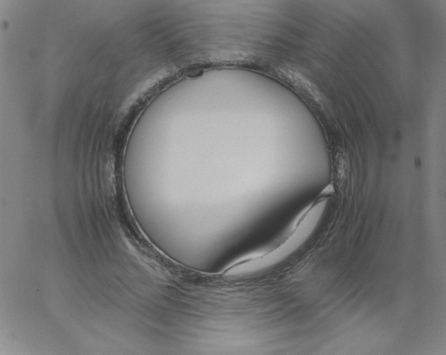 X0000066980684200604211932