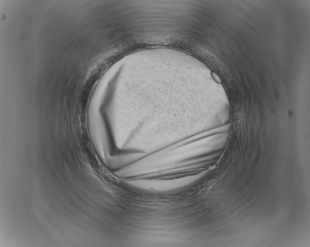 X0000066980688200604211932