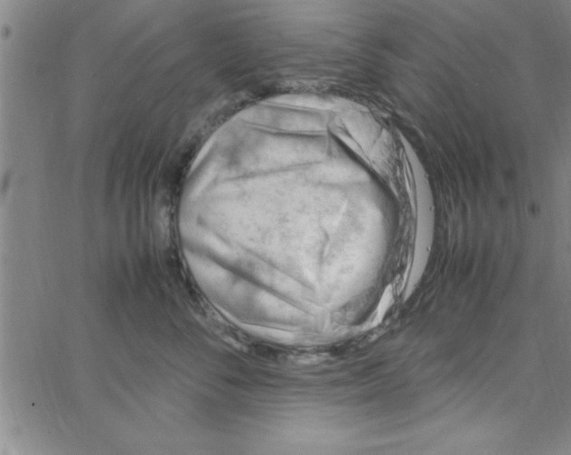 X0000066980716200604211932