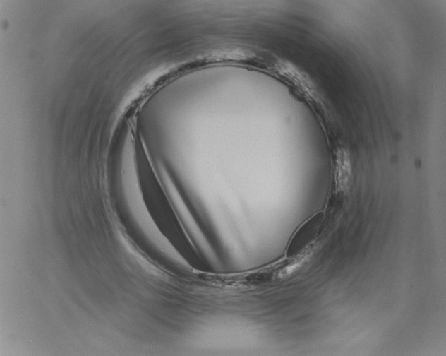 X0000066980726200604211931
