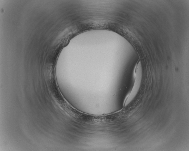 X0000066980744200604211931