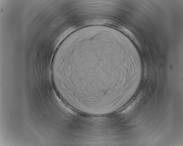 X0000066980802200604211930