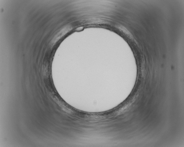 X0000066980873200604211929