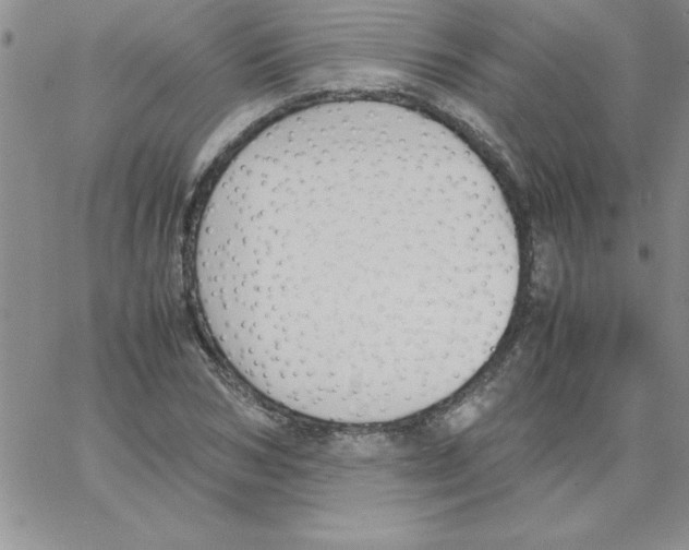 X0000066980978200604211927