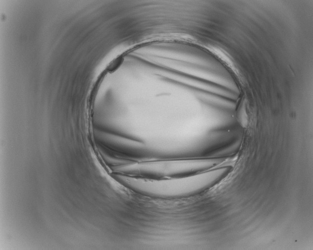 X0000066981046200604211927