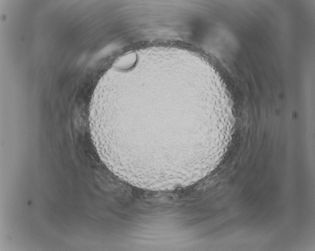 X0000066981063200604211926