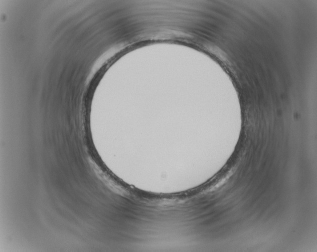 X0000066981122200604211925
