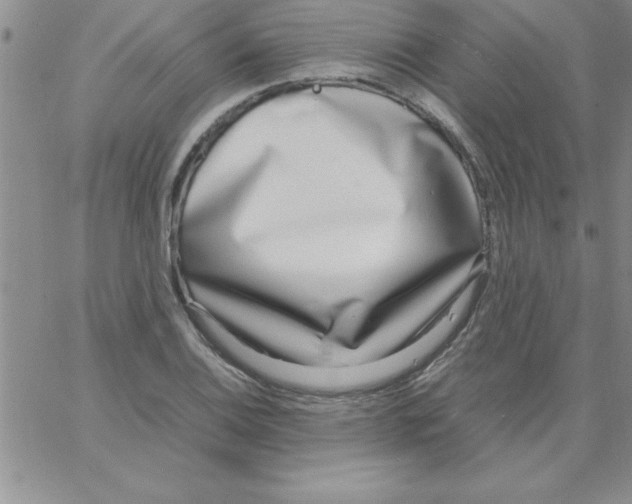 X0000066981124200604211925