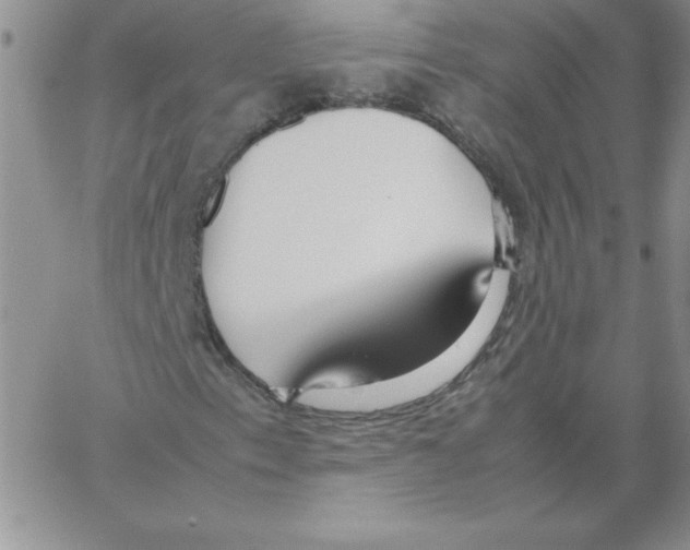 X0000066981153200604211925